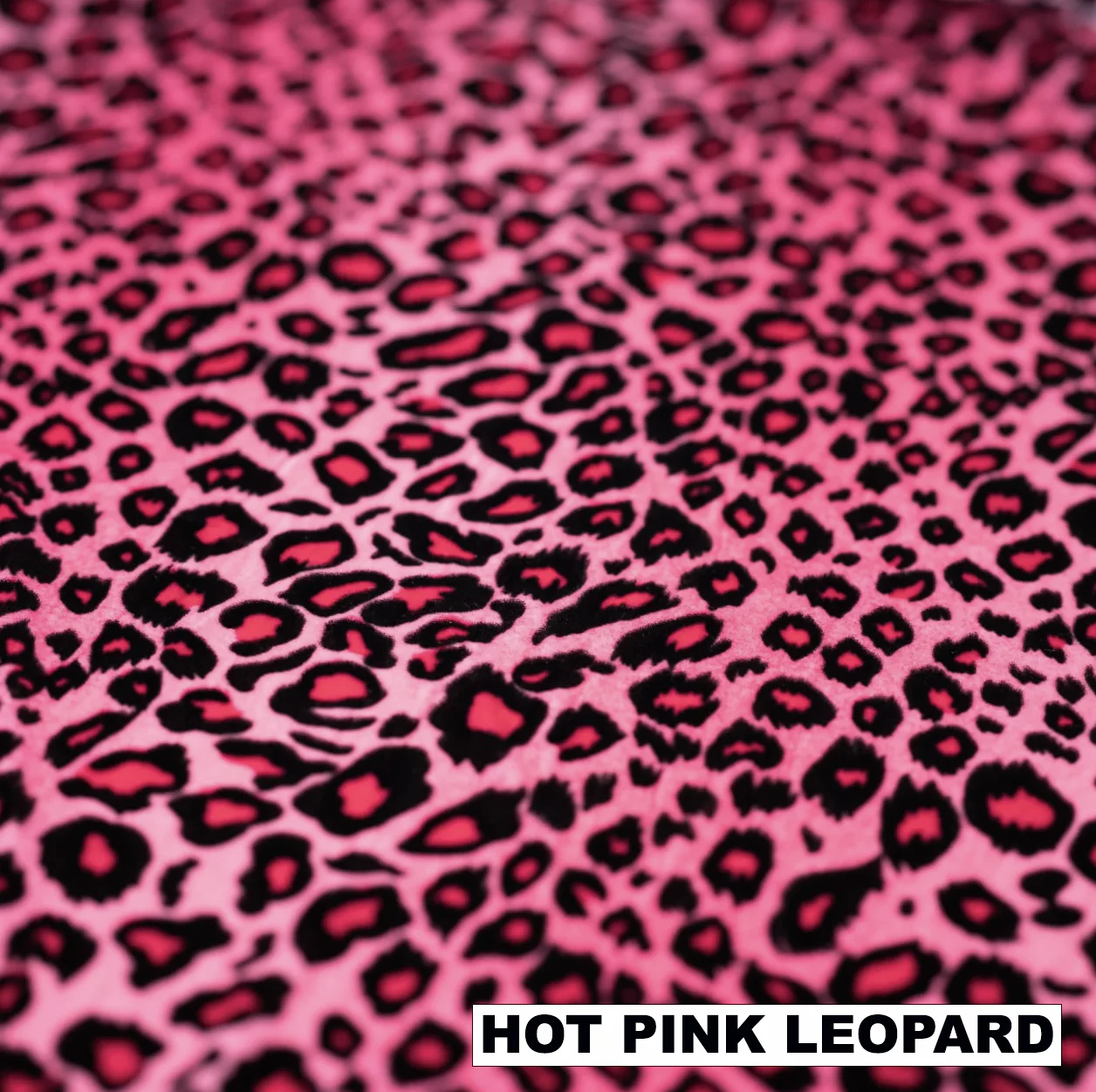 CHEETAH GIRL SET - Image 7