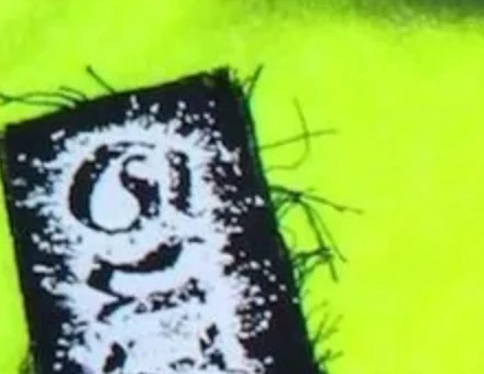 HARDCORE JOGGERS - Image 8