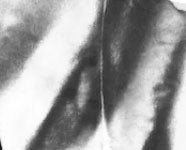 "SUSPENDER TIE DYE" T-SHIRT - Image 5